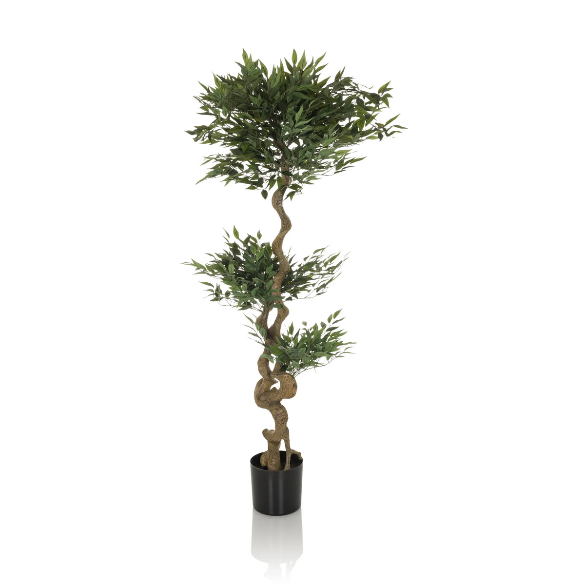 Planta artificial verde ACACIA con tronco retorcido en maceta negra de hjh OFFICE – vista de 360° (vista lateral 90°)