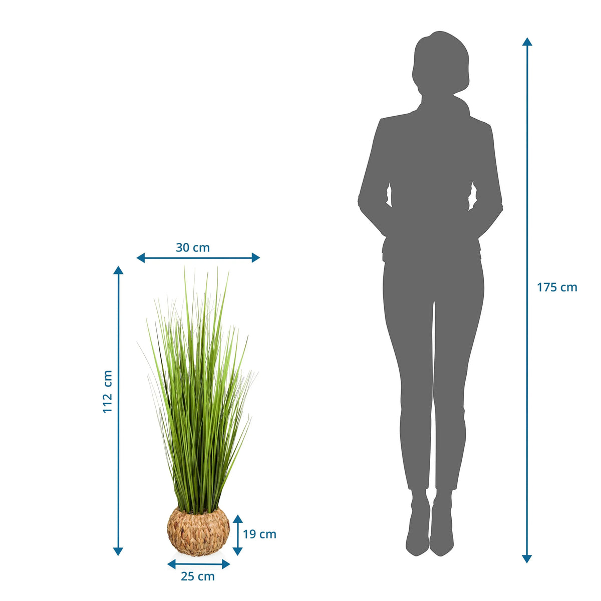Dibujo dimensional de la Planta artificial CORTADERIA con una altura de 112 cm y anchura de 30 cm de hjh OFFICE