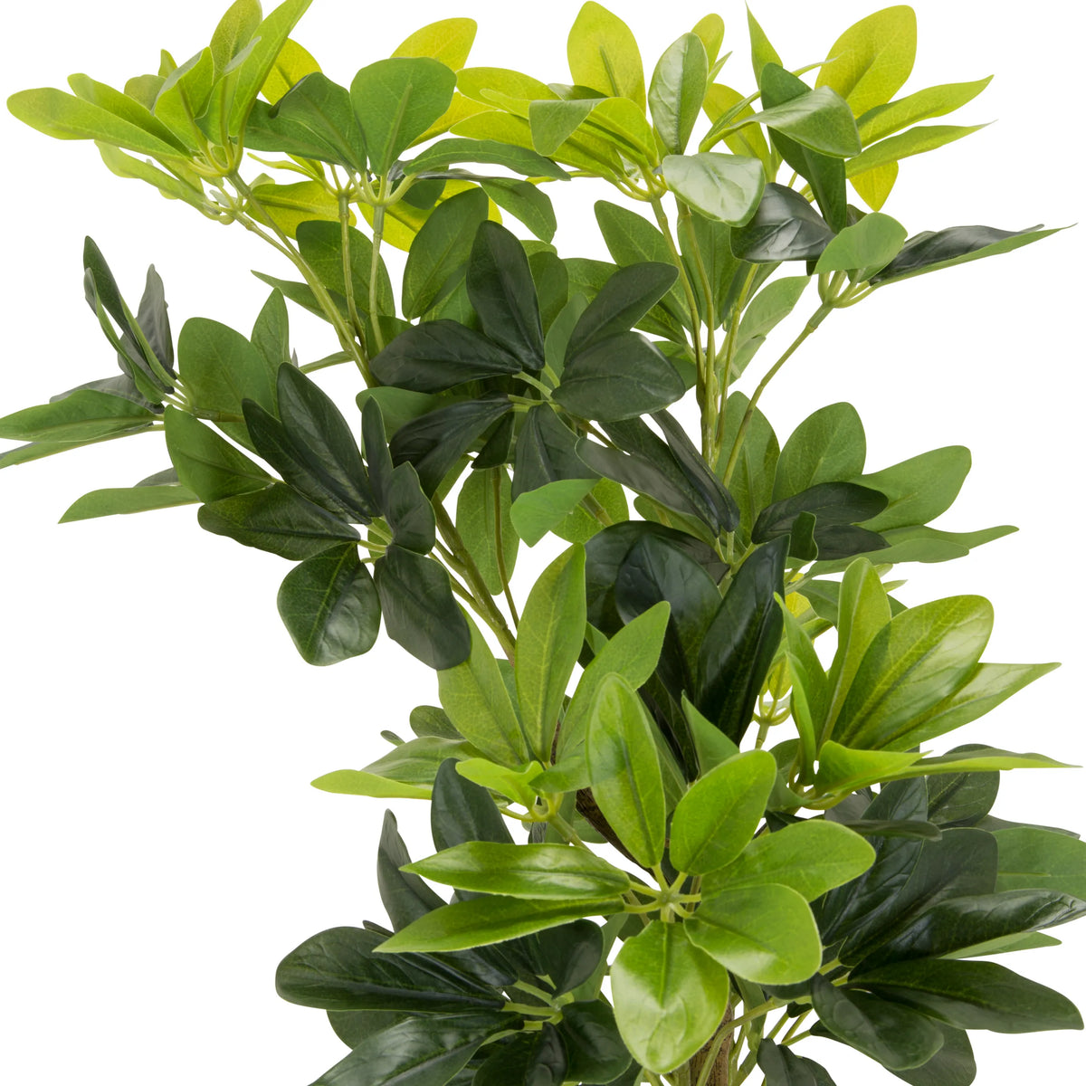 Hojas verdes de la planta artificial SCHEFFLERA de hjh OFFICE