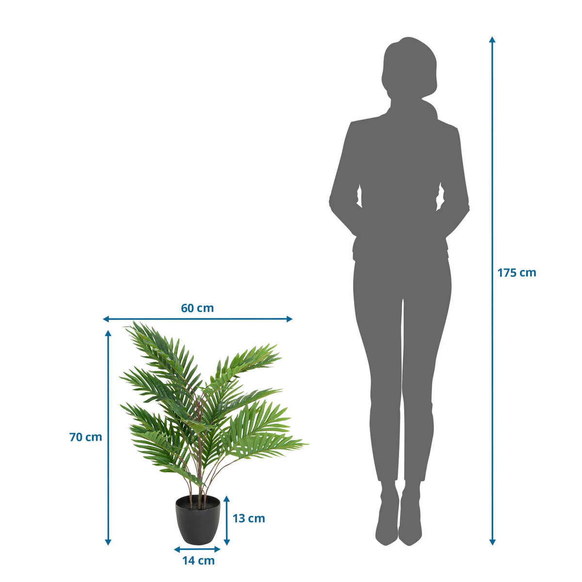 Dibujo acotado de la Planta artificial ARECA con una altura de 70 cm y una anchura de 60 cm de hjh OFFICE