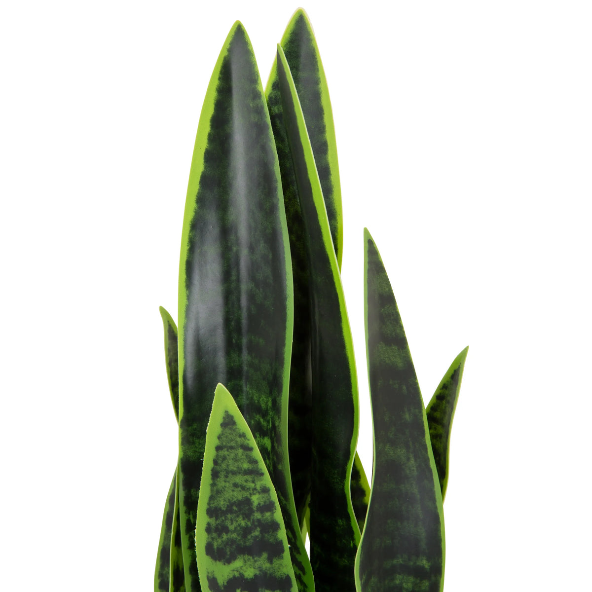 Hojas verdes de la planta artificial SANSEVIERIA con patrones verde oscuro de hjh OFFICE