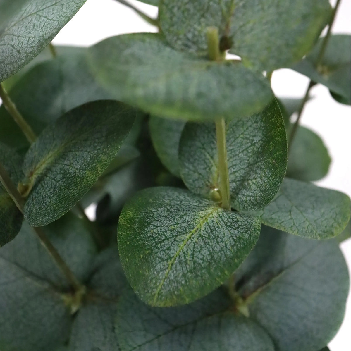 Hojas verdes de la planta artificial Eucalyptus de hjh OFFICE