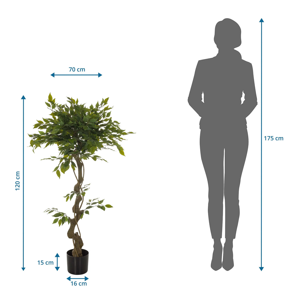 Vista de dimensiones de la Planta artificial FICUS I con una altura de 120 cm y una anchura de 70 cm de hjh OFFICE