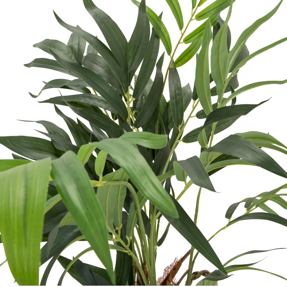 Hojas verdes de la planta artificial CHAMAEDOREA de hjh OFFICE