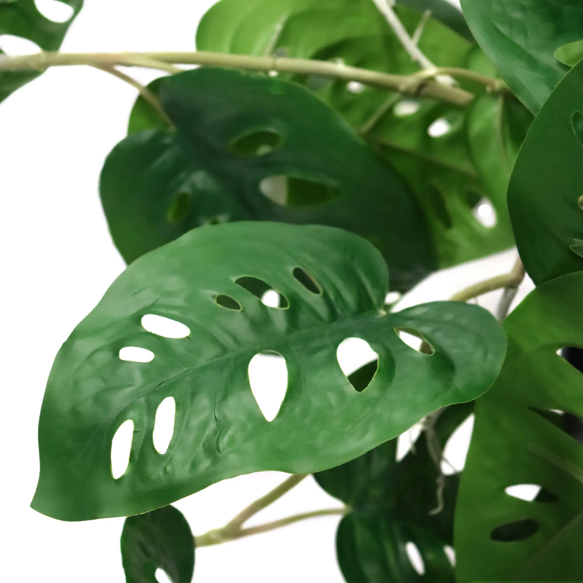 Hojas verdes de la Planta artificial MONSTERA CLIMB con agujeros característicos de hjh OFFICE