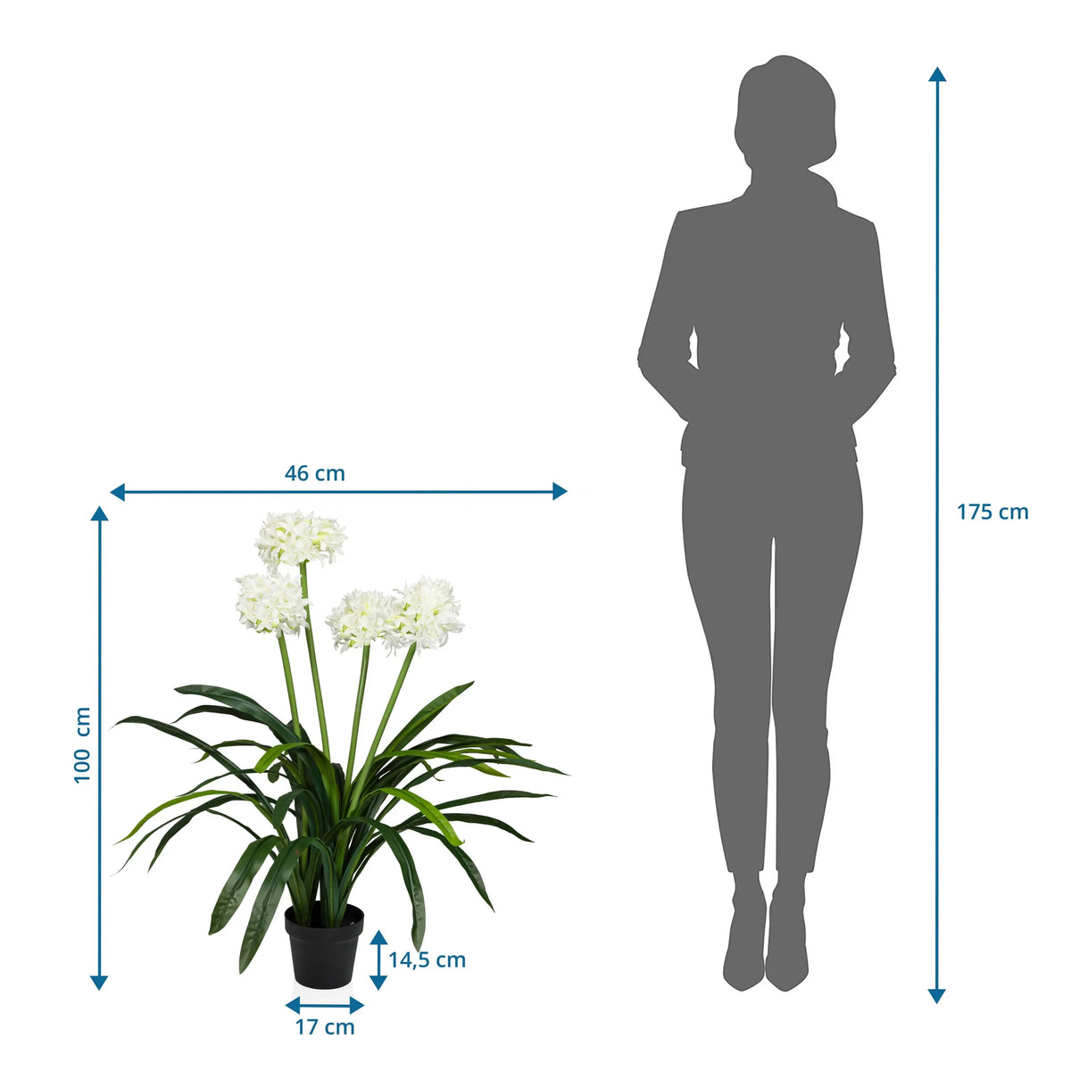 Dibujo dimensional de la Planta artificial AGAPANTHUS con una altura de 100 cm y anchura de 46 cm de hjh OFFICE