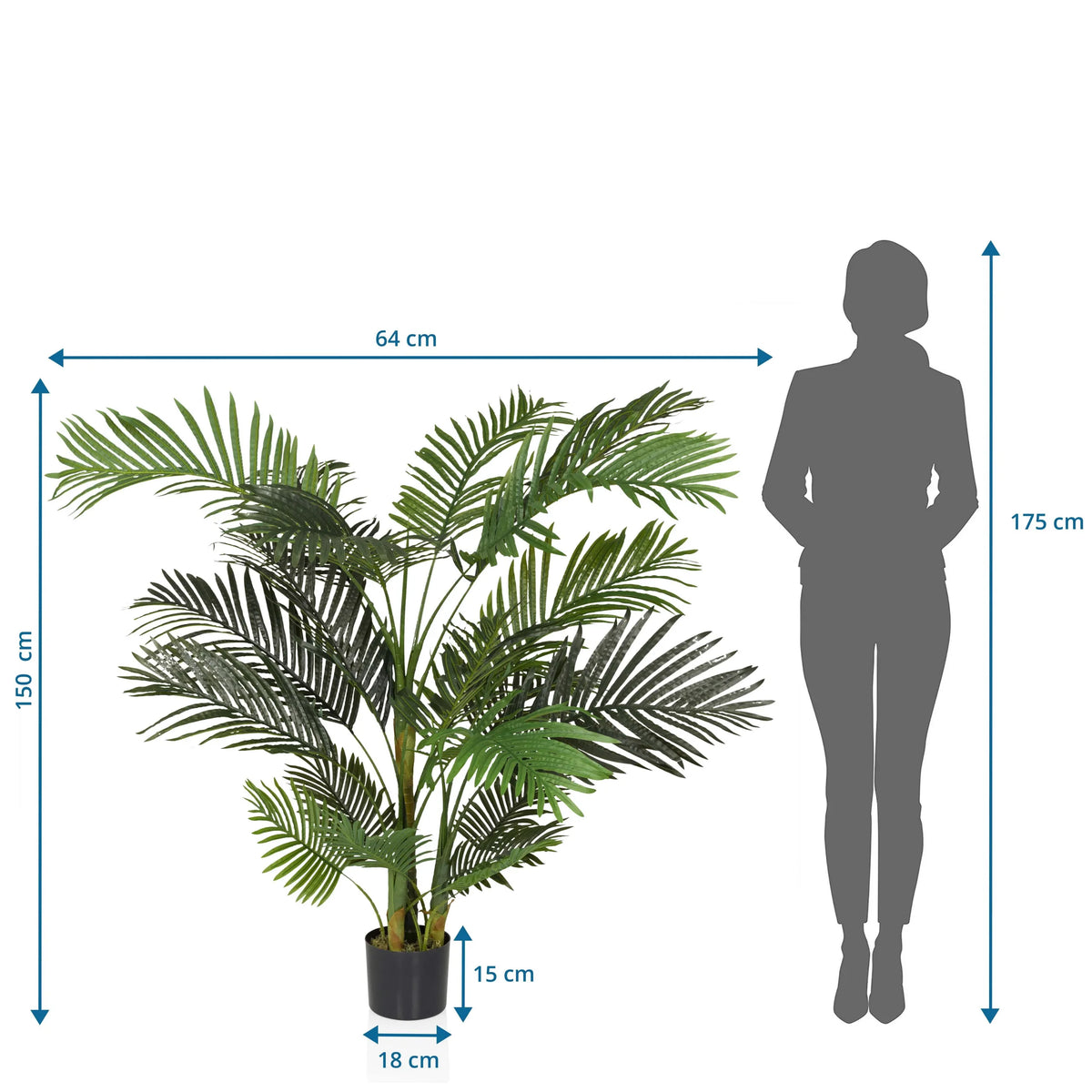 Dibujo dimensional de la Planta artificial ARECA II con una altura de 150 cm y anchura de 64 cm de hjh OFFICE