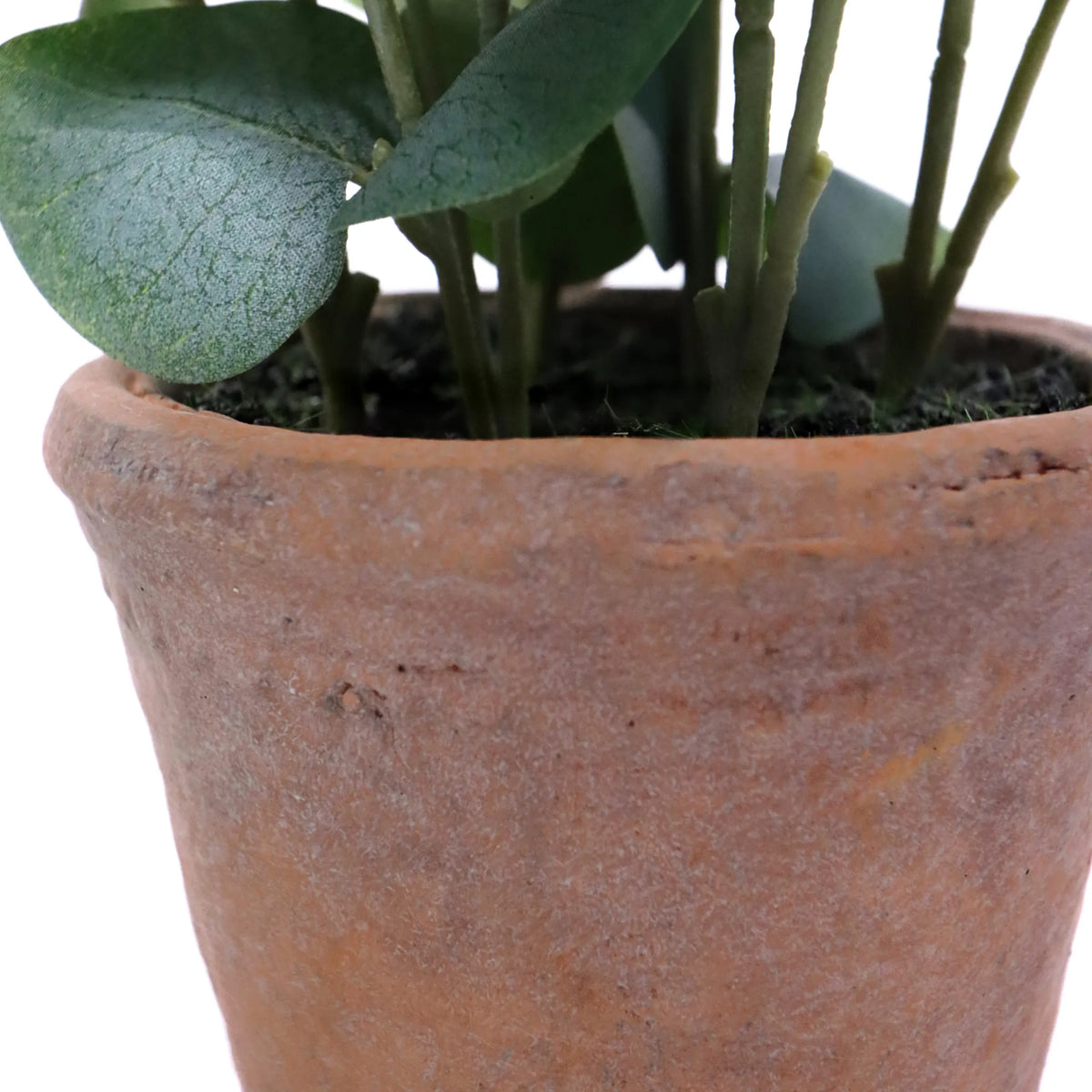 Maceta de terracota de la planta artificial Eucalyptus con hojas verdes de hjh OFFICE