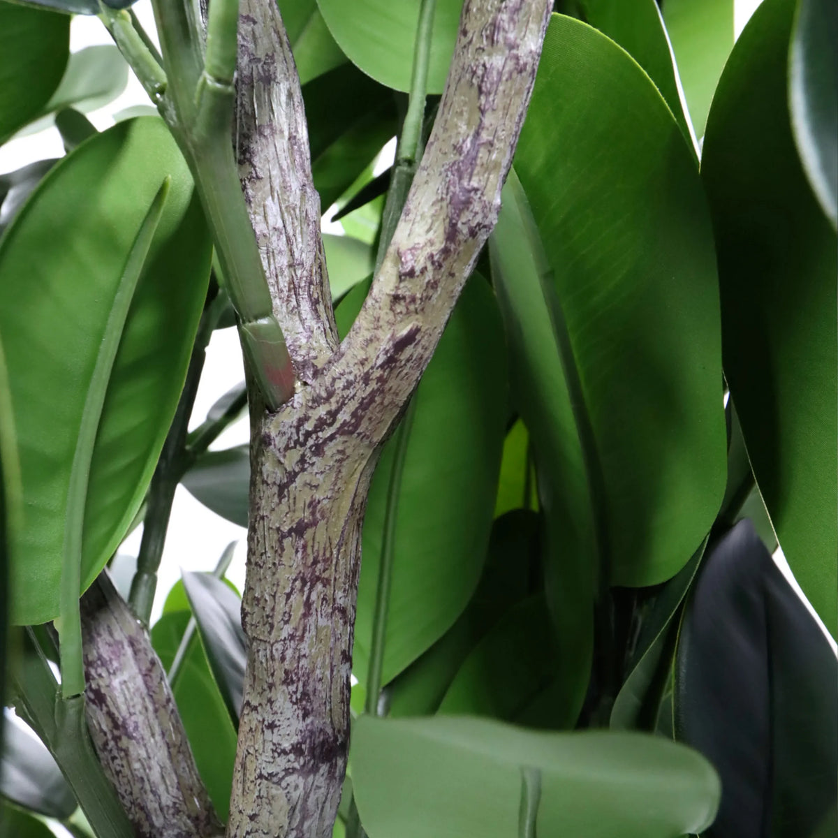 Tallo y hojas verdes de la Planta artificial Garcinia de hjh OFFICE