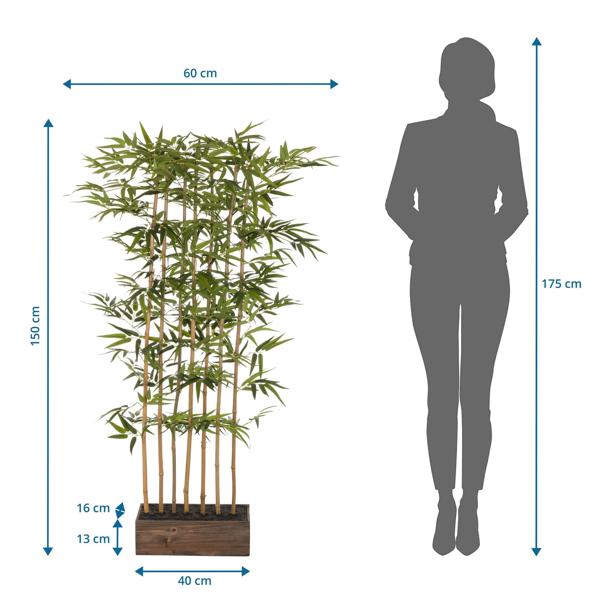Vista dimensional de la Planta artificial BAMBUS I con una altura de 150 cm y una anchura de 60 cm de hjh OFFICE