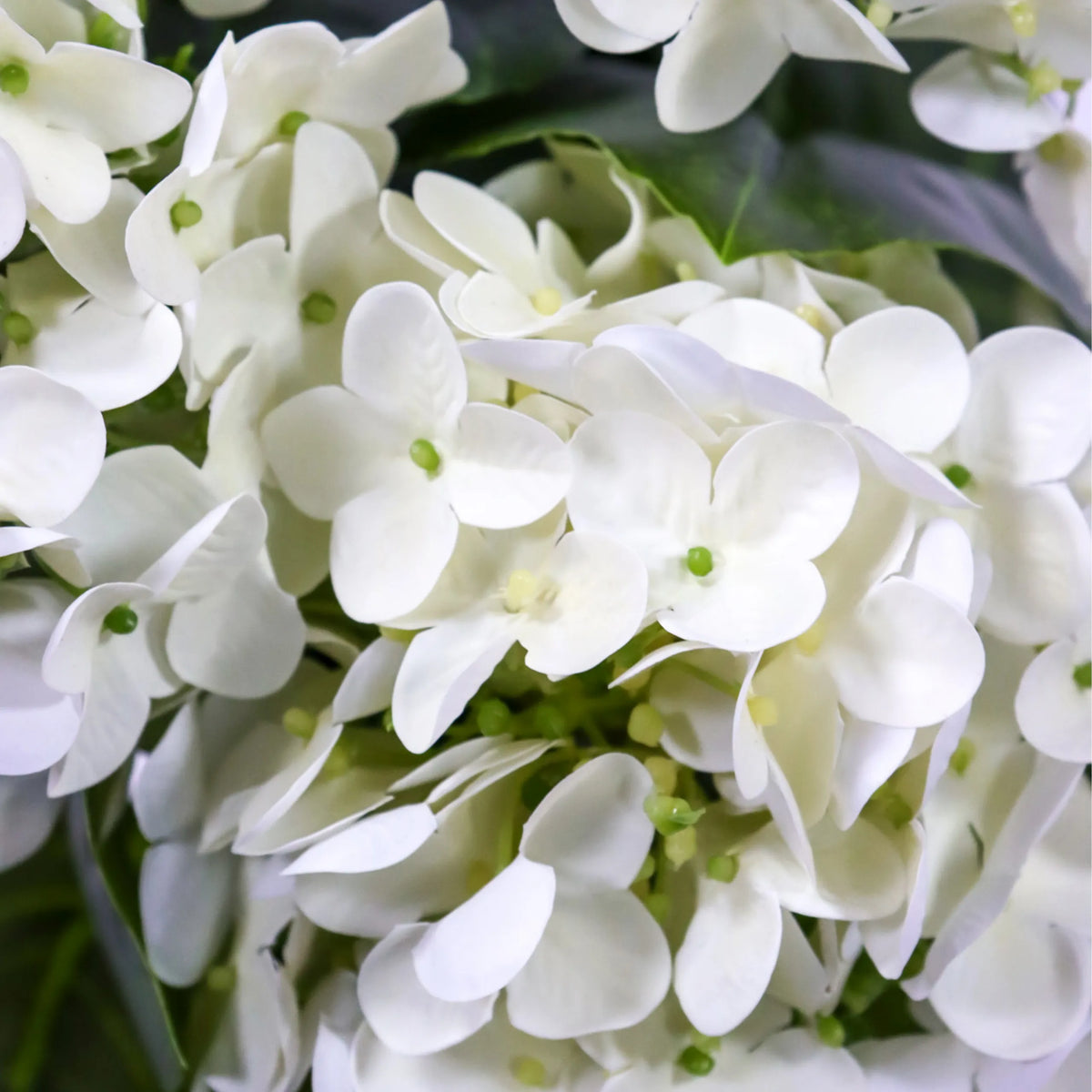 Flores blancas de la Planta artificial HYDRANGEA con detalles verdes de hjh OFFICE