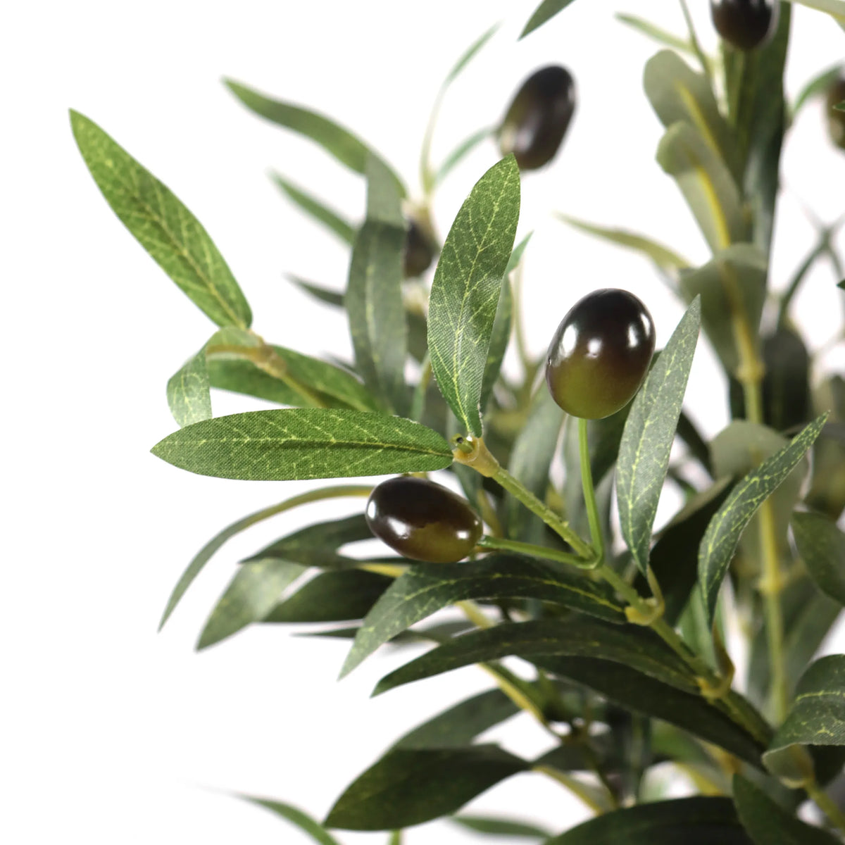 Hojas verdes y aceitunas oscuras de la Planta artificial OLIVE I de hjh OFFICE