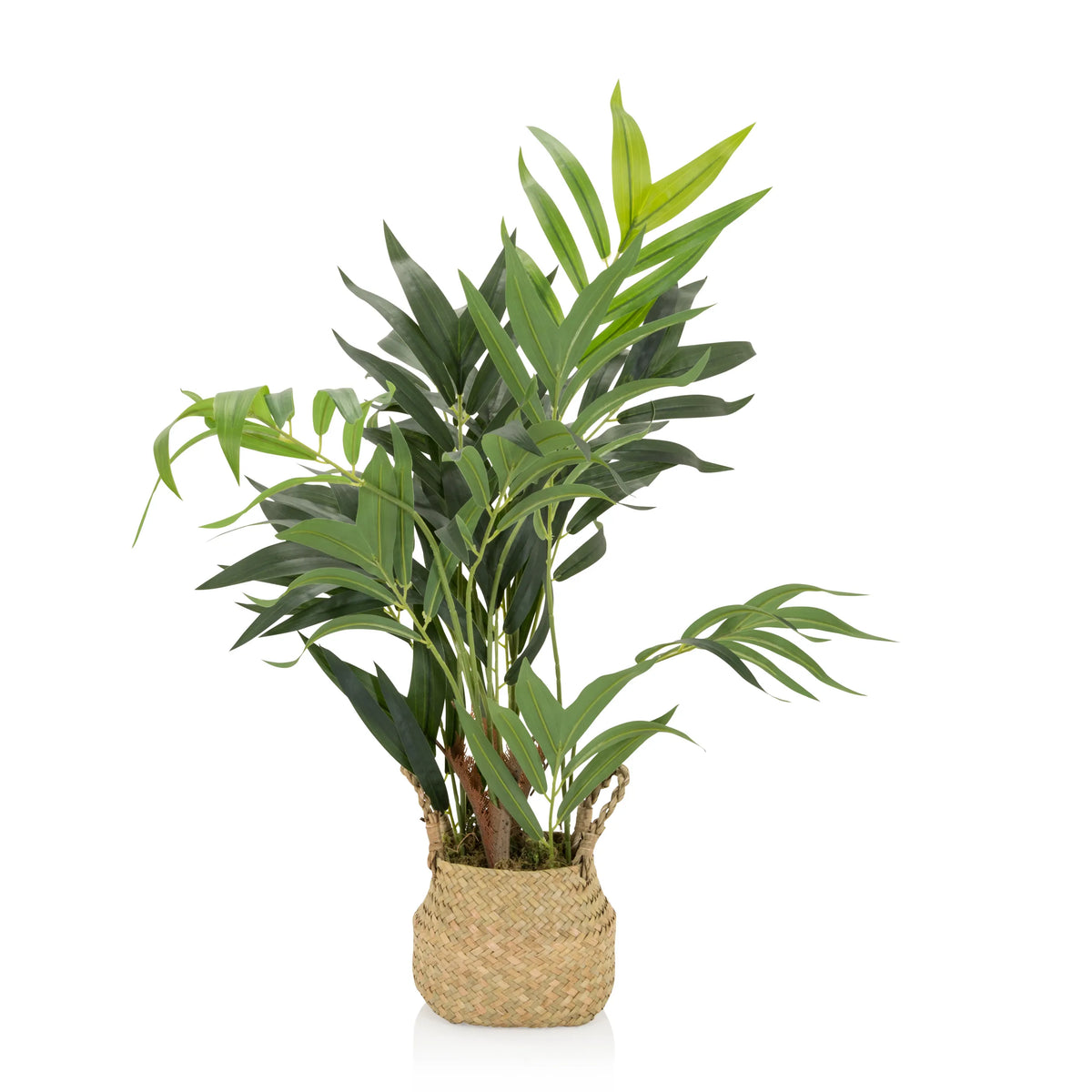 Planta artificial verde CHAMAEDOREA en una maceta tejida de material natural de hjh OFFICE – vista de 360° (vista frontal 0°)
