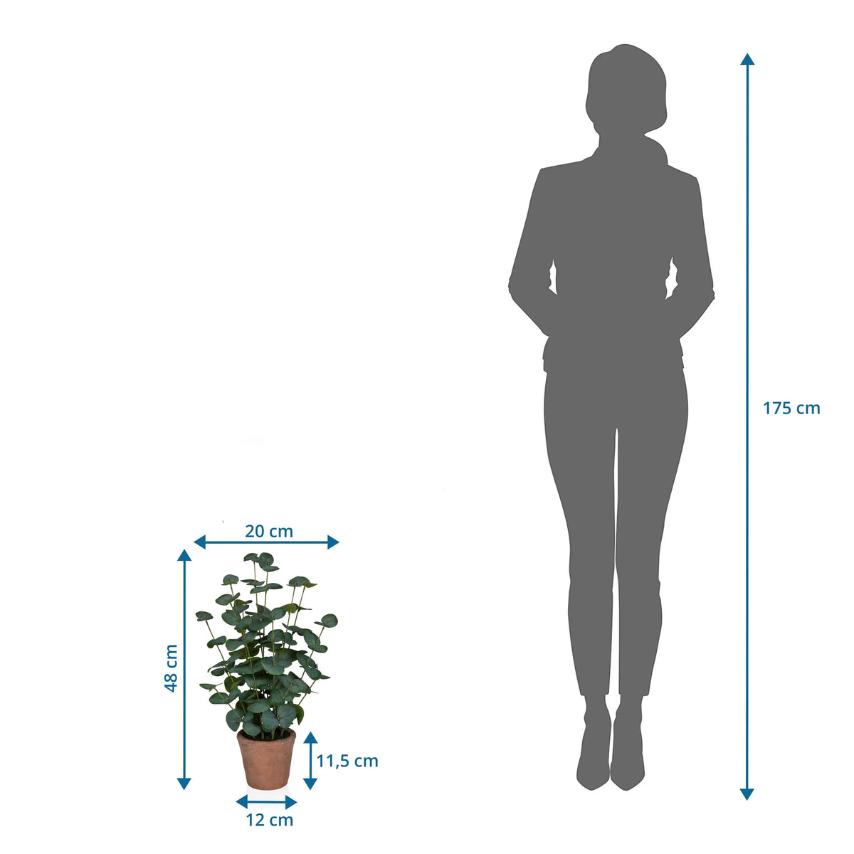 Dibujo acotado de la Planta artificial Eucalyptus con una altura de 48 cm junto a la silueta de una persona de hjh OFFICE
