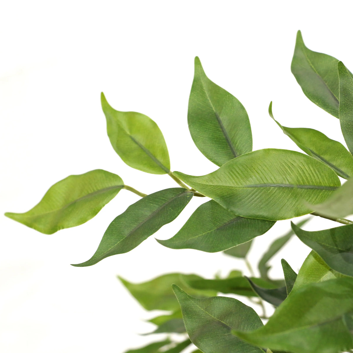 Hojas verdes de la Planta artificial FICUS I de hjh OFFICE
