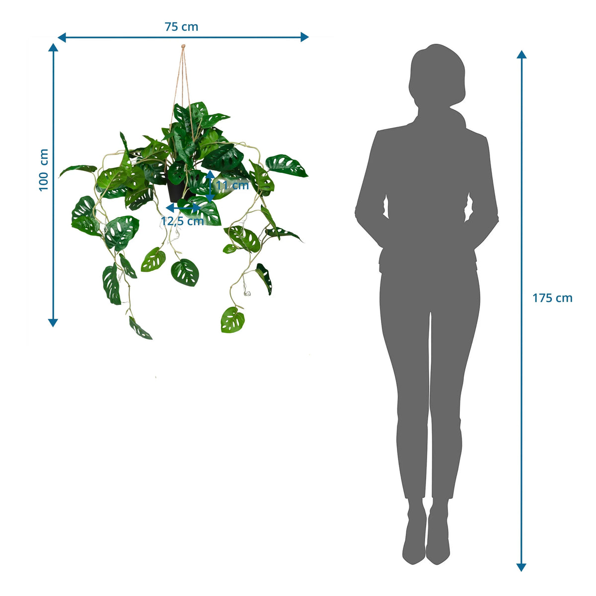 Plano dimensional de la planta artificial MONSTERA CLIMB con una altura total de 100 cm de hjh OFFICE