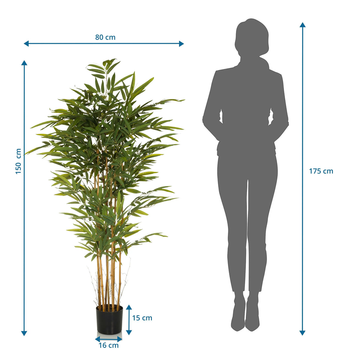 Plano dimensional de la Planta artificial BAMBUS II con una altura de 150 cm y anchura de 80 cm de hjh OFFICE