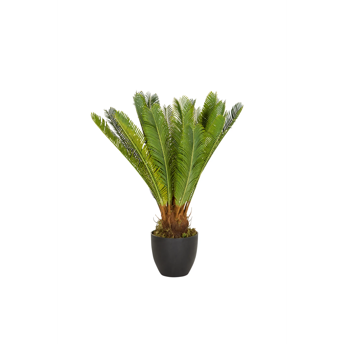 Planta artificial verde CYCAS en una maceta negra de hjh OFFICE – vista de 360° (vista frontal 0°)