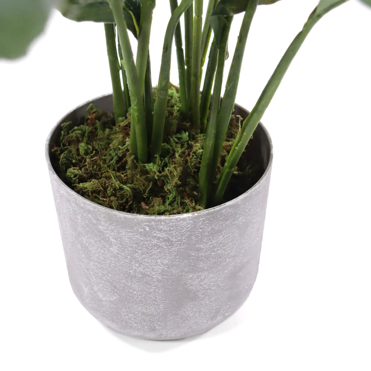 Maceta gris con musgo verde de la planta artificial Spathiphyllum 1 de hjh OFFICE