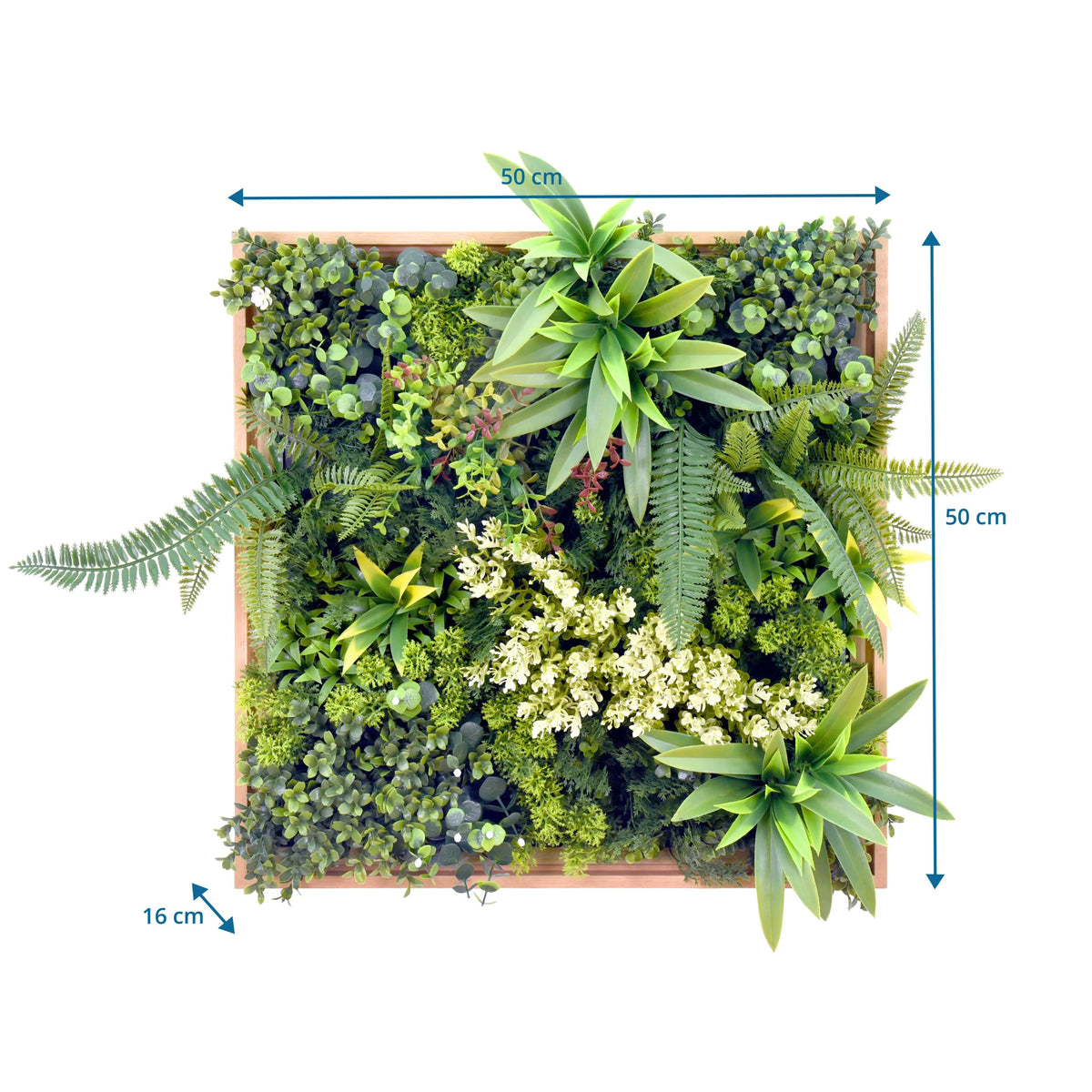 Dibujo dimensional de la Estera vegetal LEAFLUXE WALL 1 con 50 × 50 cm y 16 cm de profundidad de hjh LIVING
