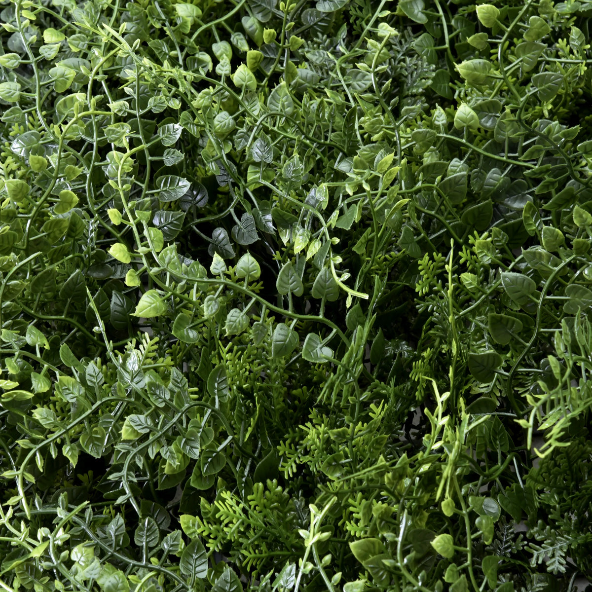 Hojas verdes de la estera vegetal LEAFLUXE 2 de hjh LIVING