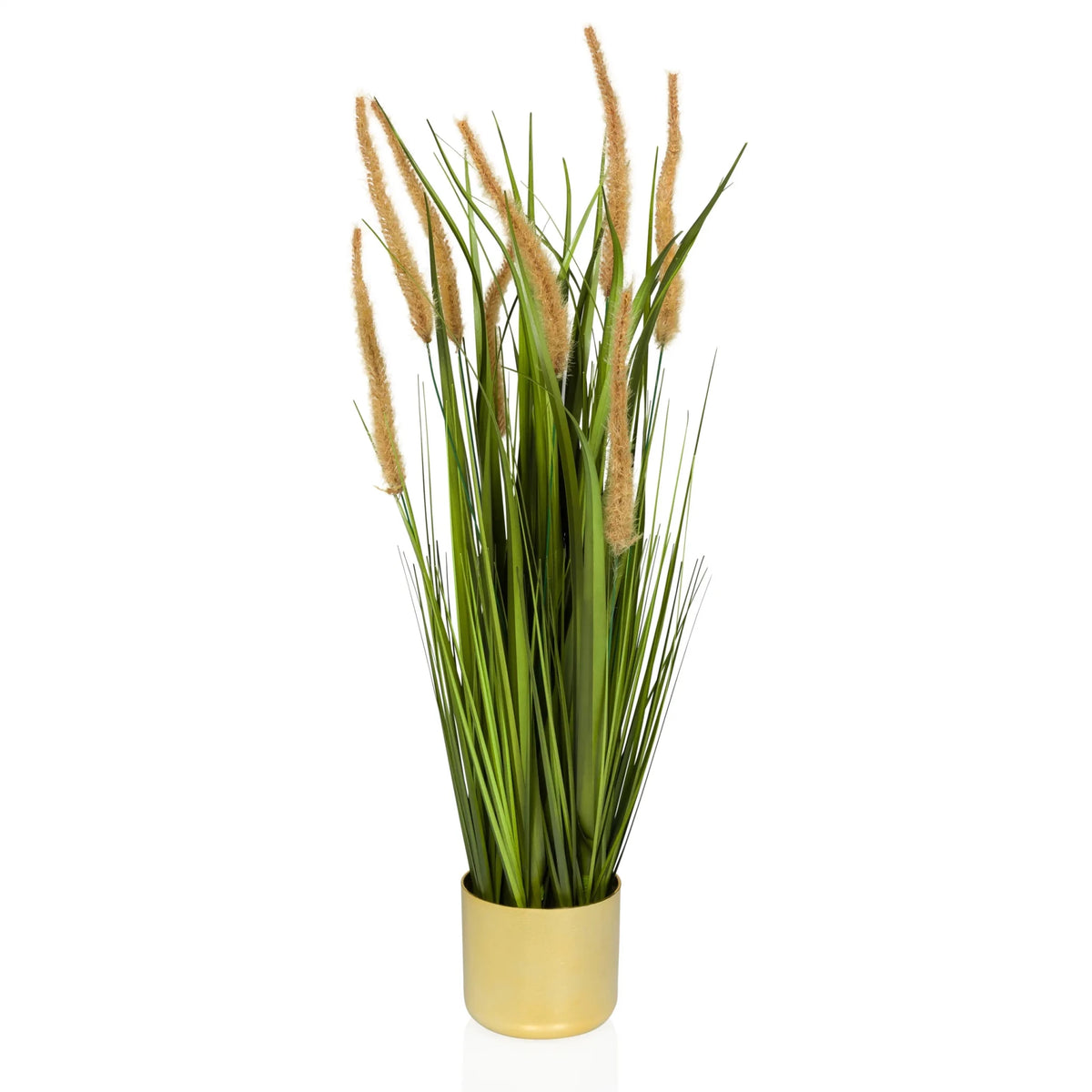 Planta artificial CORTADERIA I en beige y verde con maceta dorada de hjh OFFICE