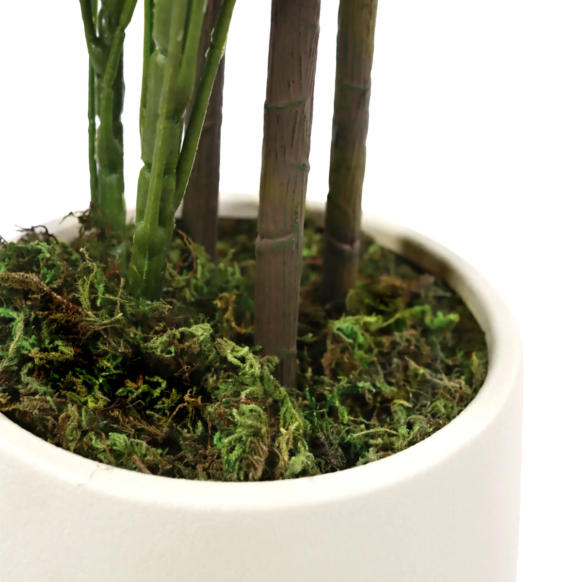 Tallos y base de musgo de la Planta artificial Schefflera 2 en una maceta blanca de hjh OFFICE