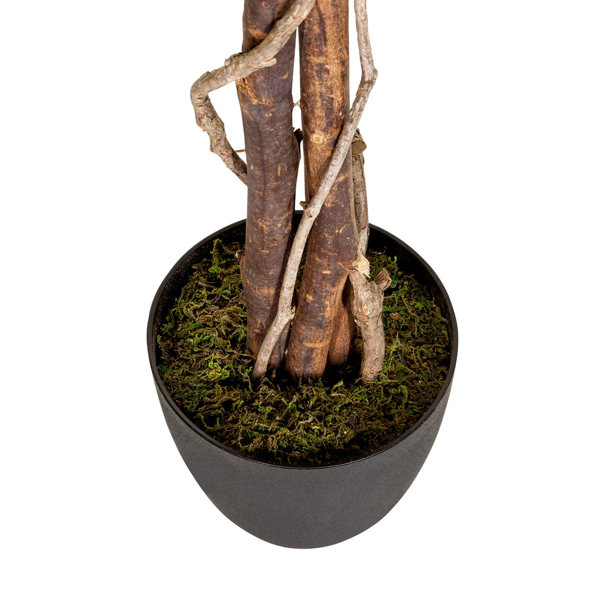 Troncos y maceta con musgo verde de la Planta artificial FICUS de hjh OFFICE