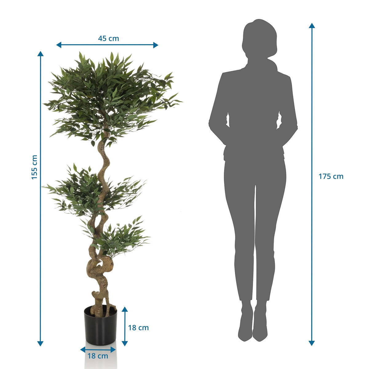 Plano dimensional de la Planta artificial ACACIA con una altura de 155 cm de hjh OFFICE