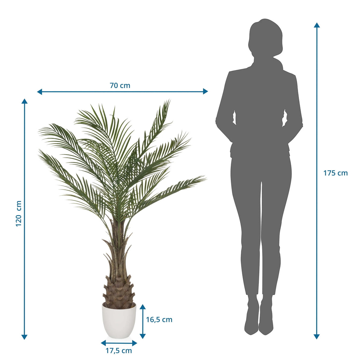 Dibujo dimensional de la Planta artificial DRACAENA con una altura de 120 cm y una anchura de 70 cm de hjh OFFICE