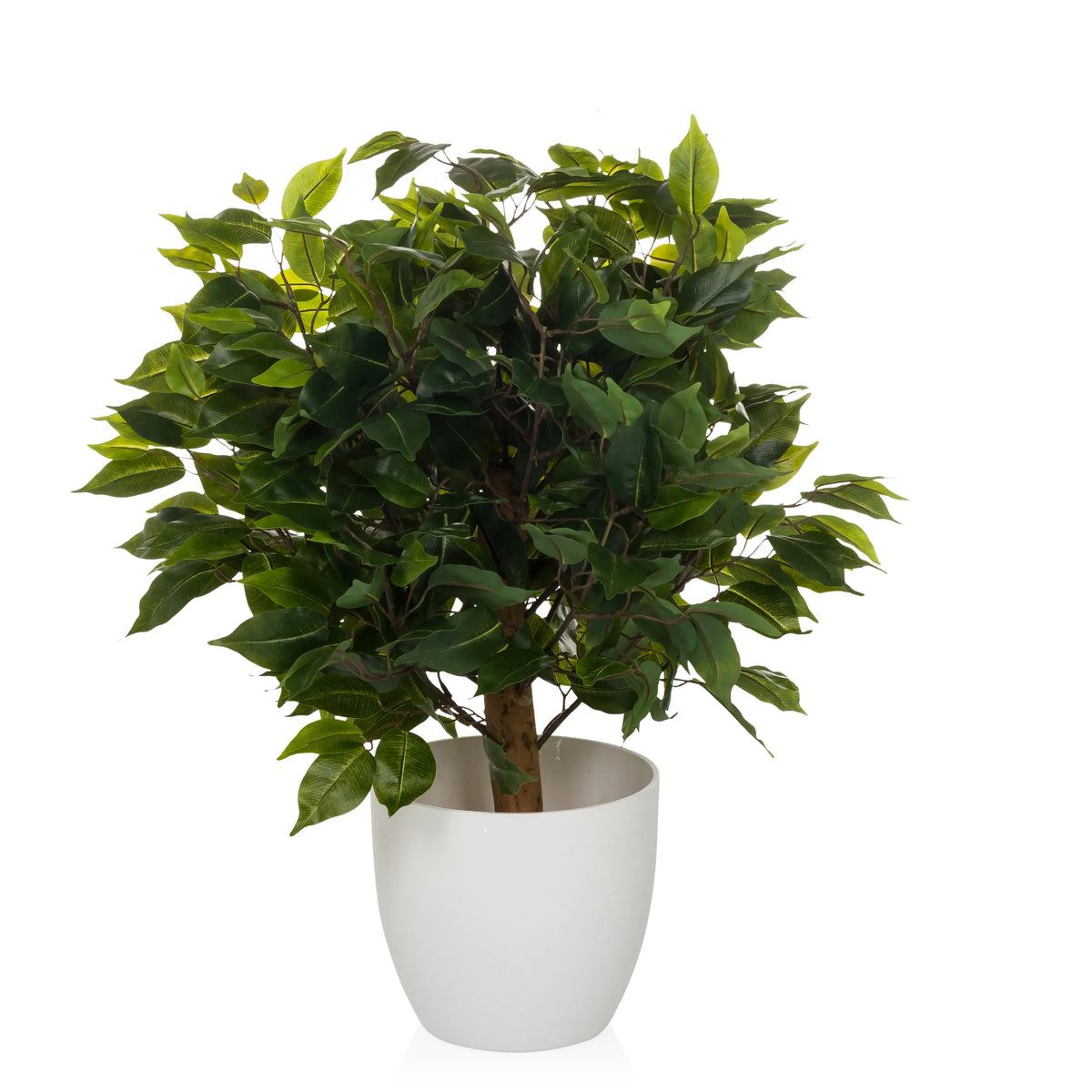 Planta artificial verde FICUS II en una maceta blanca de hjh OFFICE – vista de 360° (vista lateral 90°)