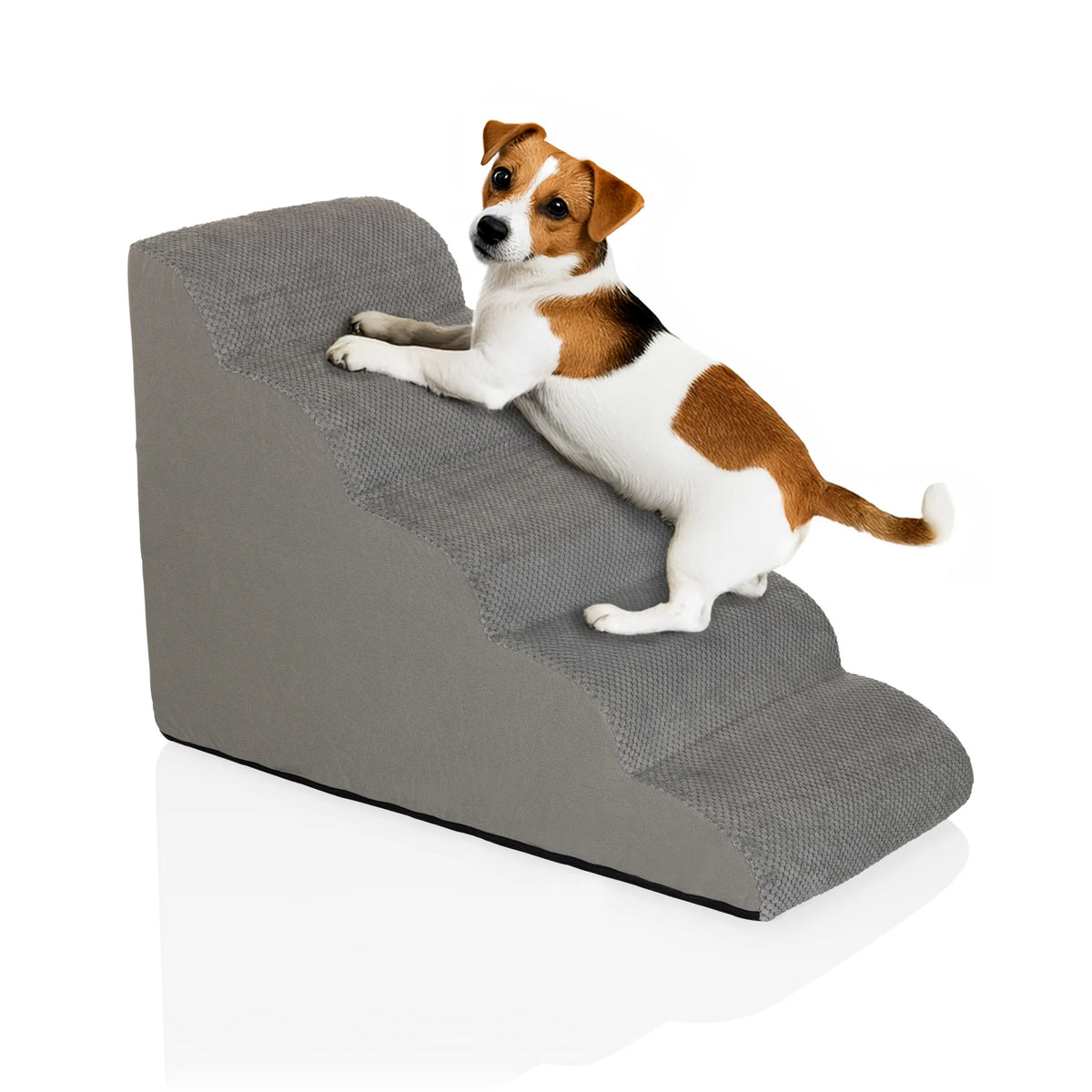 Escalera para mascotas PAWY STEP 5 de color gris con un perro pequeño de hjh LIVING
