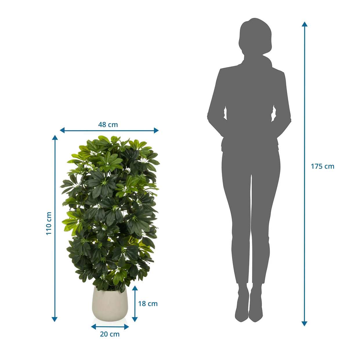 Plano dimensional de la Planta artificial Schefflera 2 con una altura de 110 cm y anchura de 48 cm de hjh OFFICE
