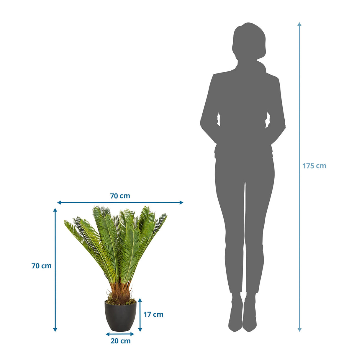 Dibujo dimensional de la Planta artificial CYCAS con una altura y anchura de 70 cm cada una de hjh OFFICE