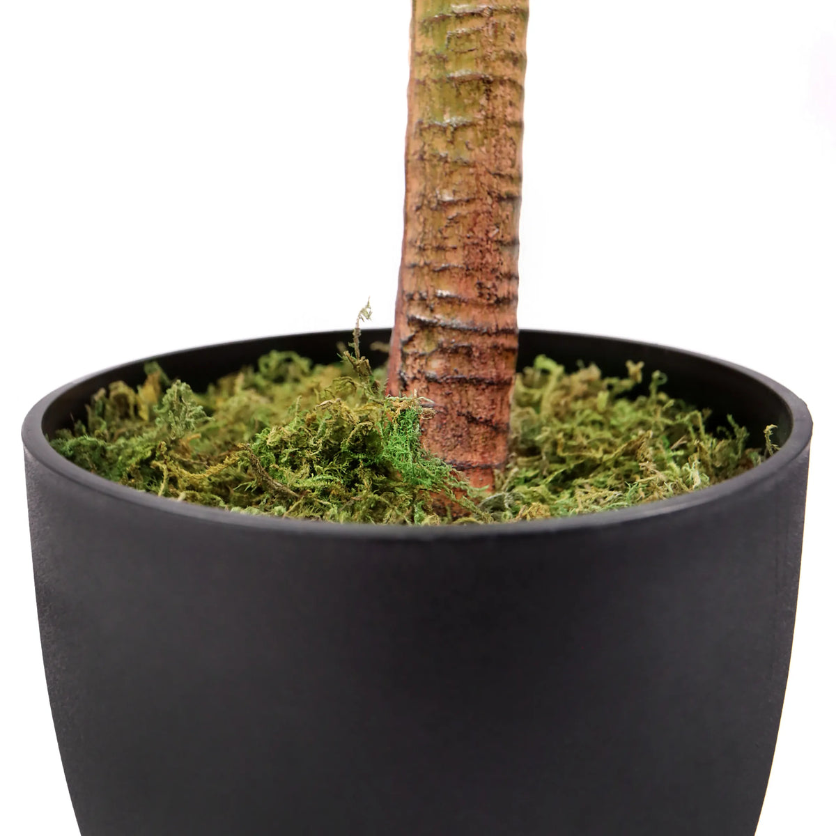 Tronco y maceta negra con musgo verde de la planta artificial DRACAENA I de hjh OFFICE