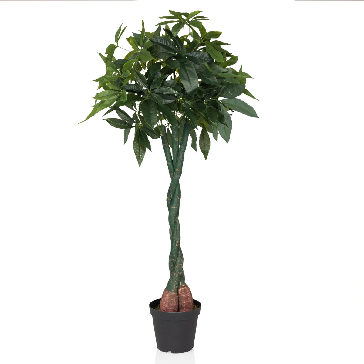 Planta artificial verde PACHIRA con tallo trenzado en maceta negra de hjh OFFICE