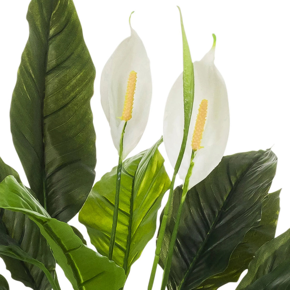 Flores blancas y hojas verdes de la Planta artificial Spathiphyllum 1 de hjh OFFICE
