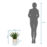 Dibujo dimensional de la Planta artificial Agave con 45 cm de altura y 40 cm de anchura de hjh OFFICE