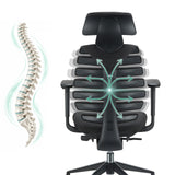 Respaldo de la silla de oficina profesional ERGO LINE II PRO con representación de una columna vertebral y gráficos de flechas de hjh OFFICE