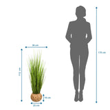 Dibujo dimensional de la Planta artificial CORTADERIA con una altura de 112 cm y anchura de 30 cm de hjh OFFICE