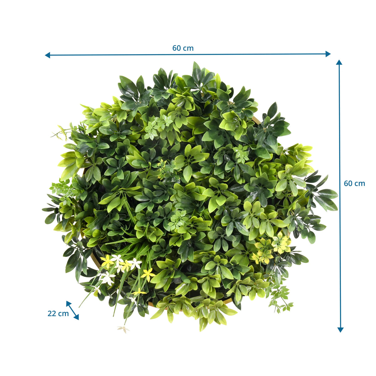Dibujo dimensional de la Estera vegetal LEAFLUXE WALL 2 de 60 × 60 cm y una profundidad de 22 cm de hjh LIVING