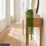 Planta colgante verde Senecio Climb en una maceta blanca sobre una mesa consola de madera clara de hjh OFFICE