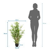 Dibujo dimensional de la Planta artificial MINI BAMBUS con una altura de 100 cm y anchura de 60 cm de hjh OFFICE