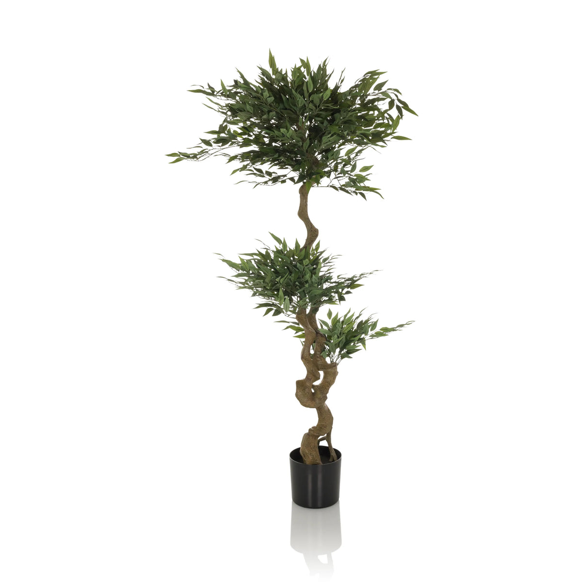 Grüne Kunstpflanze ACACIA mit gewundenem Stamm im schwarzen Topf von hjh OFFICE – 360-Grad-Ansicht (Frontansicht 0°)