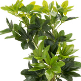Hojas verdes de la planta artificial SCHEFFLERA de hjh OFFICE