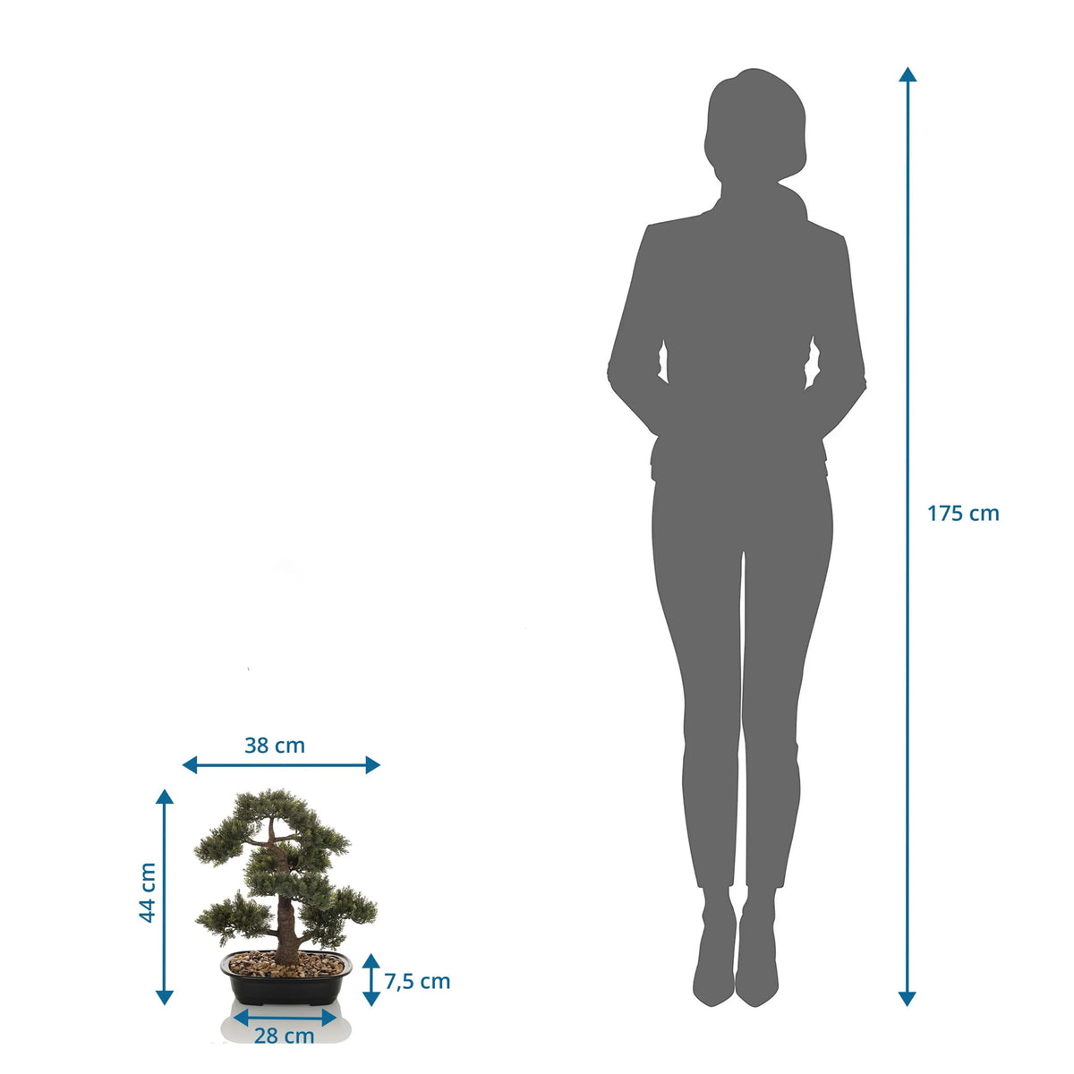 Vista de dimensiones de la Planta artificial BONSAI con una altura de 44 cm en comparación con una persona de hjh OFFICE