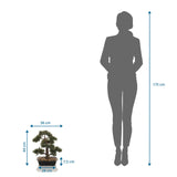 Vista de dimensiones de la Planta artificial BONSAI con una altura de 44 cm en comparación con una persona de hjh OFFICE
