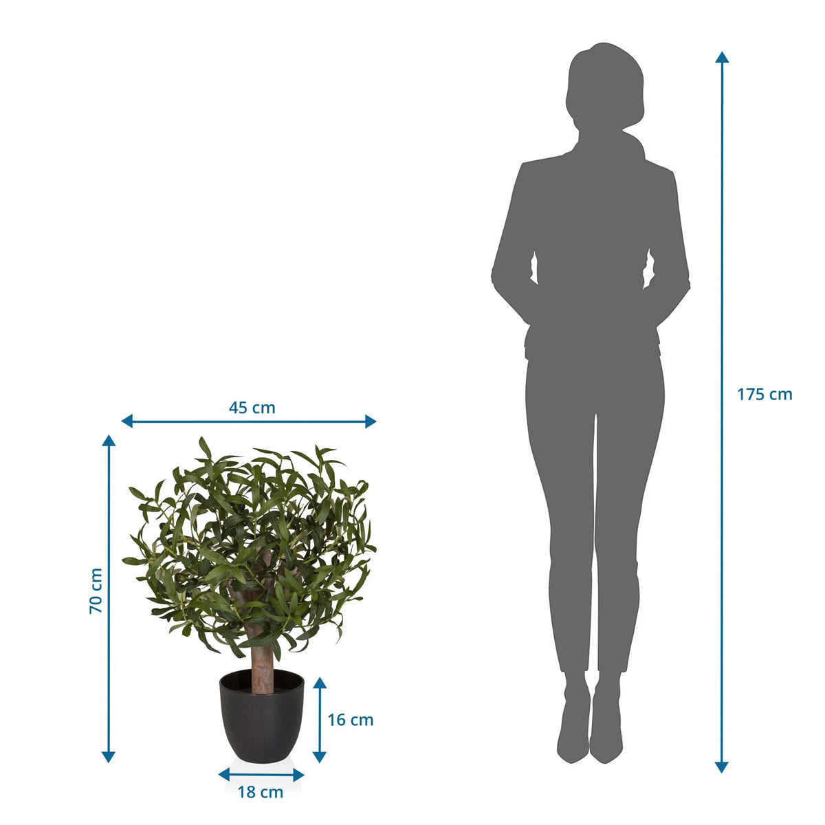 Vista dimensional de la Planta artificial Olive S con una altura de 70 cm y anchura de 45 cm de hjh OFFICE