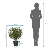 Vista dimensional de la Planta artificial Olive S con una altura de 70 cm y anchura de 45 cm de hjh OFFICE
