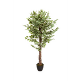 Planta artificial verde FICUS con tallo trenzado en una maceta negra de hjh OFFICE – vista de 360° (vista frontal 0°)